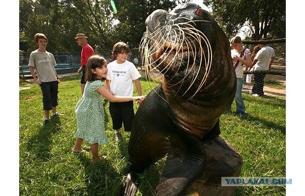 Зоопарк для смелых (16 фото)