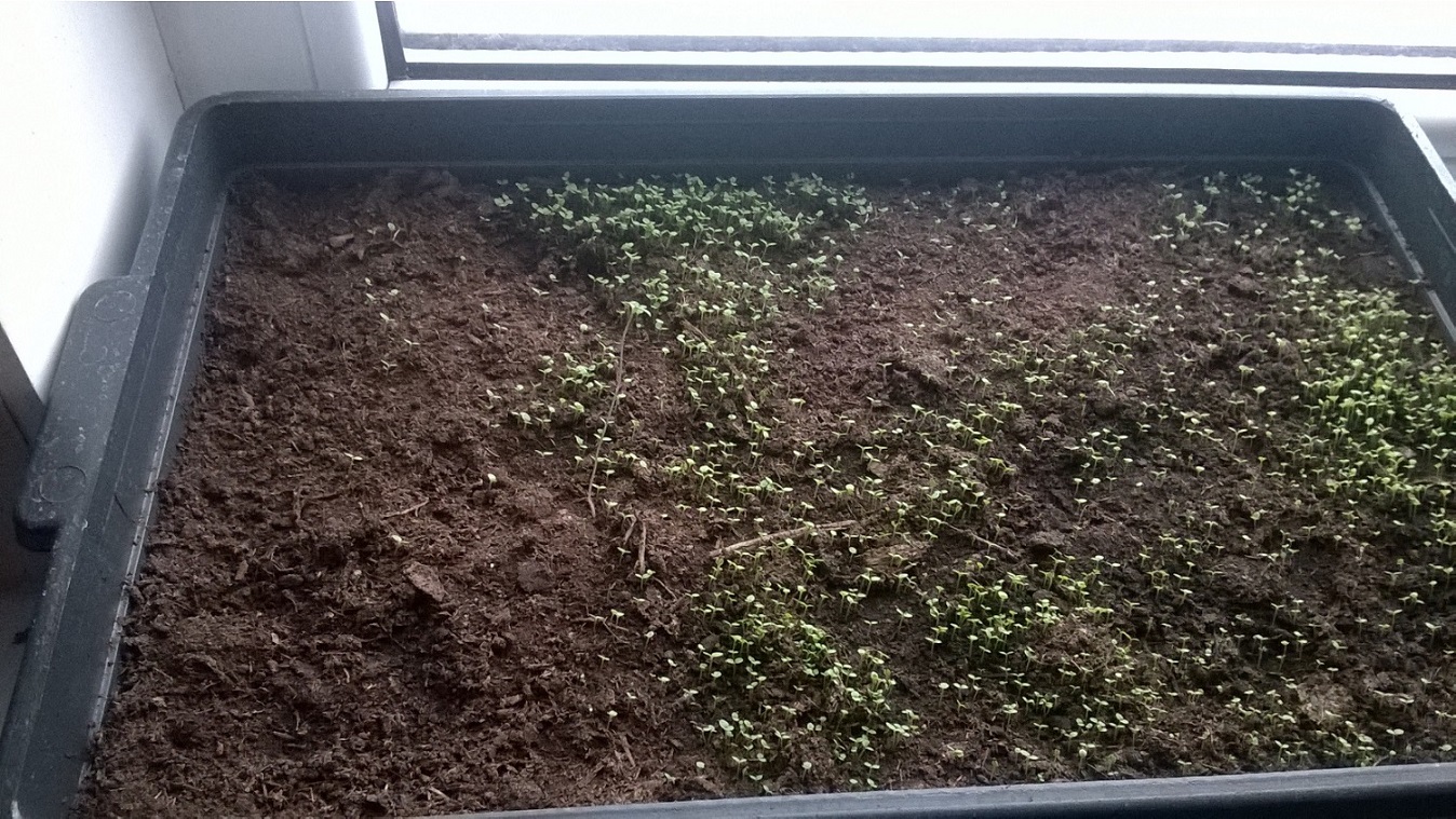 закрутка сигарет машинкой angel. Смотреть фото закрутка сигарет машинкой angel. Смотреть картинку закрутка сигарет машинкой angel. Картинка про закрутка сигарет машинкой angel. Фото закрутка сигарет машинкой angel закрутка сигарет машинкой angel. Смотреть фото закрутка сигарет машинкой angel. Смотреть картинку закрутка сигарет машинкой angel. Картинка про закрутка сигарет машинкой angel. Фото закрутка сигарет машинкой angel