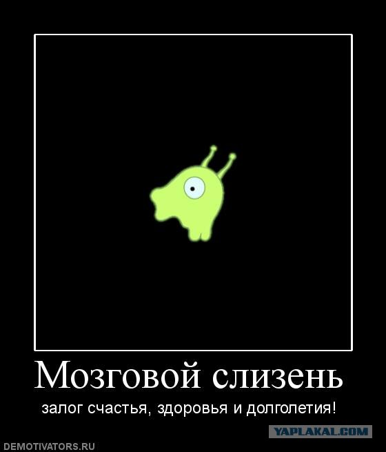 Мега-улитка