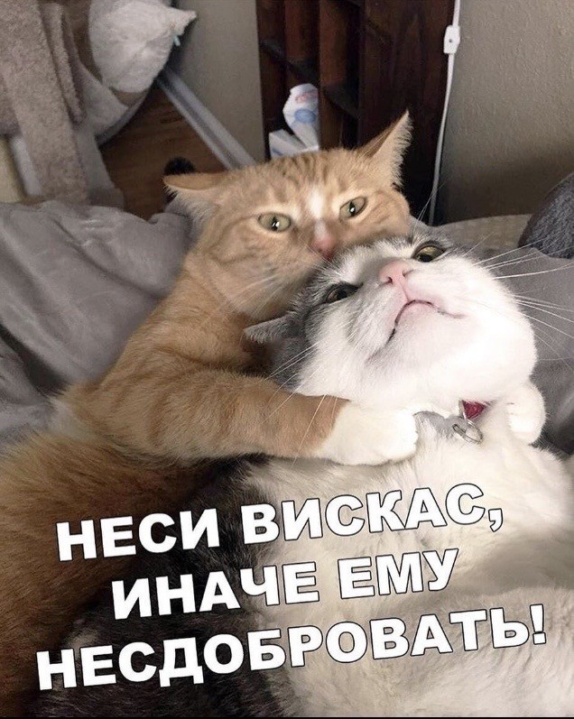 39 картинок, ни о чём