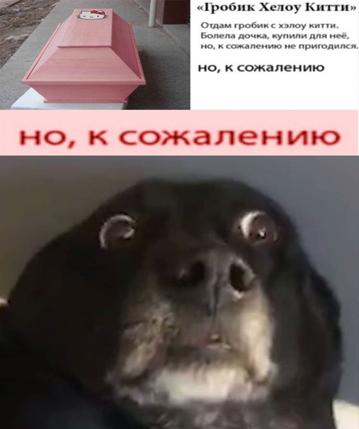 Картинки 09.01.21
