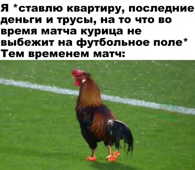 Весёлый полтишок 31.03