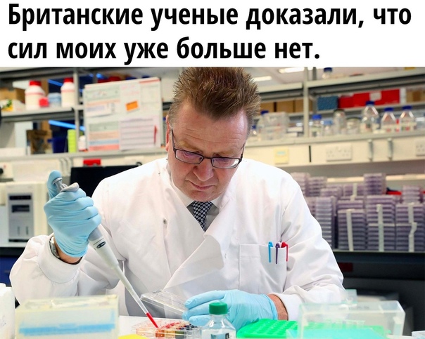 Картинки и мемы для настроения 11.08.2021