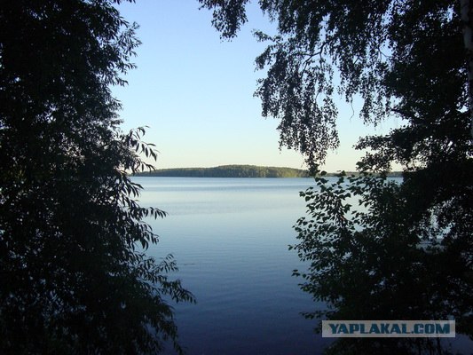 Липецкая область за 1 день