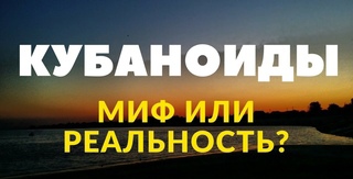 Очередная серия из сериала «Вези мразь»