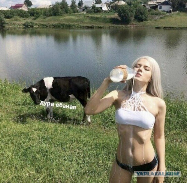 Скотсети и прочие интернеты 15.07.22