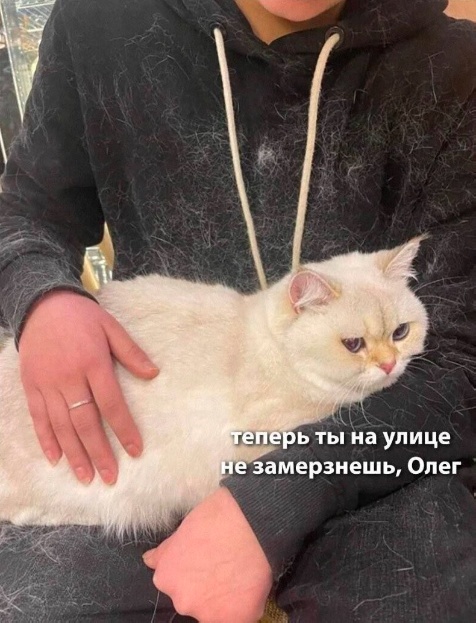 Всякая всячина