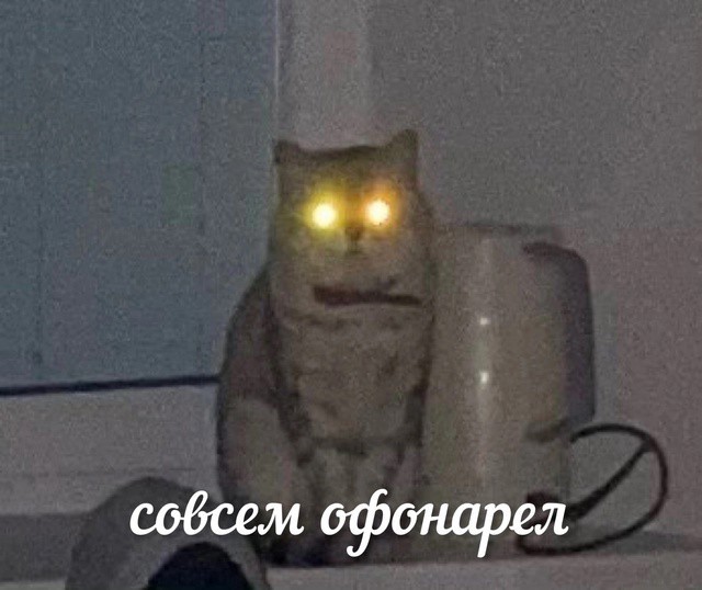 Всего понемногу. От 31.07
