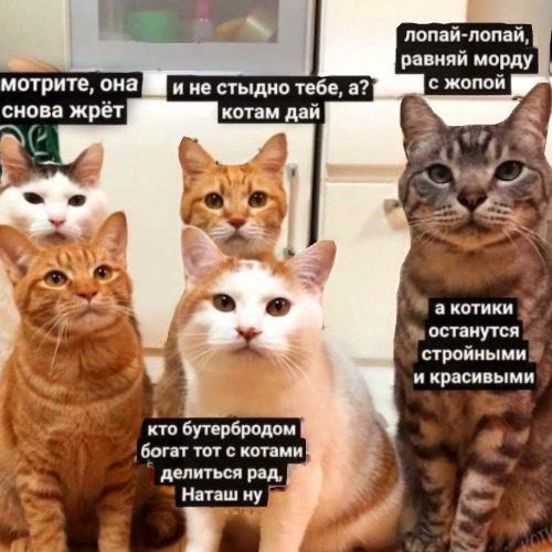 Завалялось тут случайно немного забавных картинок