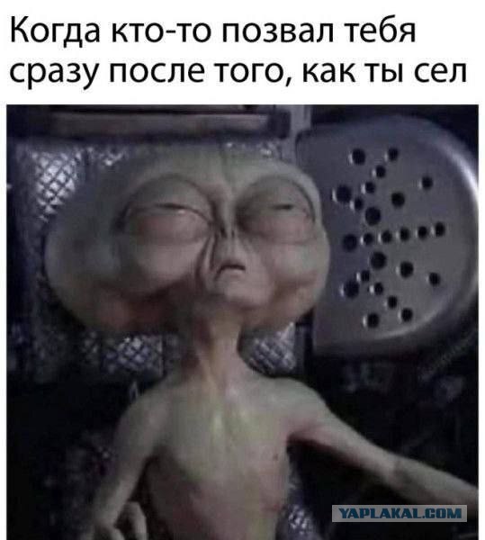 Веселые картинки в маленькую пятницу (17.09)