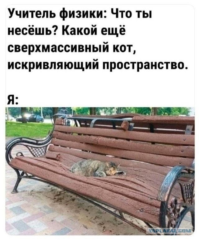 Что такое гравитация?