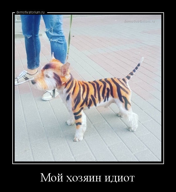 Опять китайцы ??