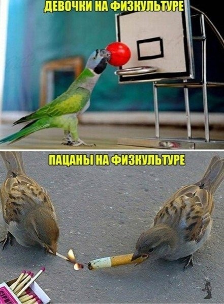 Воскресные картинки