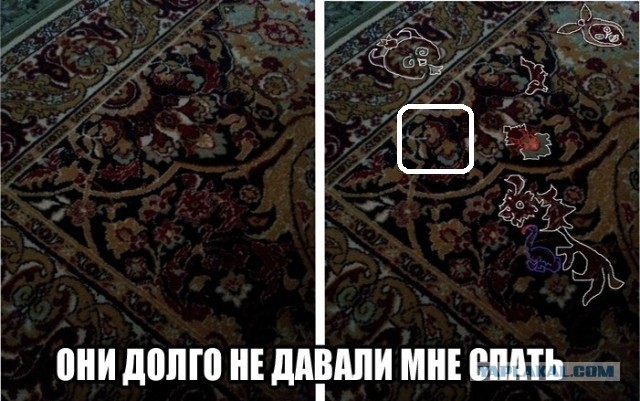 До сих пор ИХ вижу!