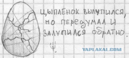 Любителям хитросплетений русского языка