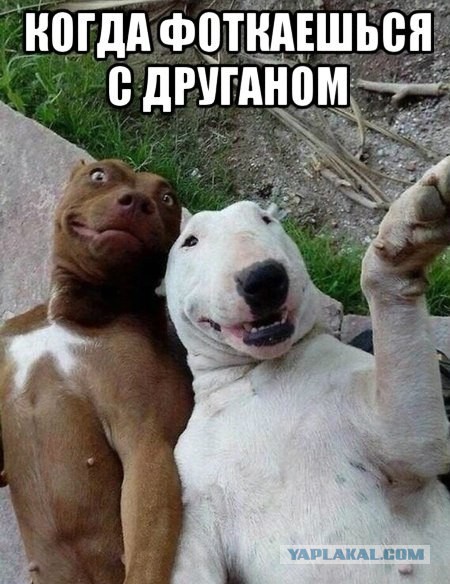 Улыбнуло часть "2"
