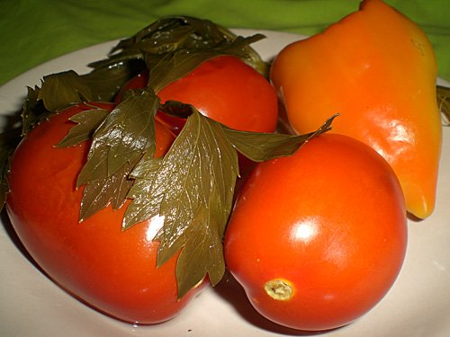 Мой ответ санкциям