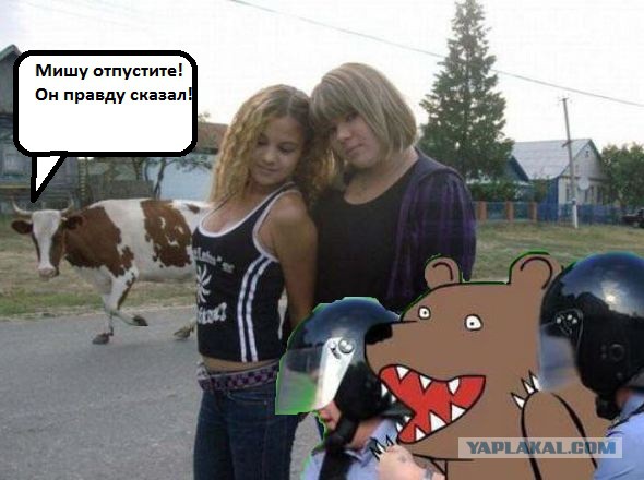 Красота спасет мир или сельский гламур