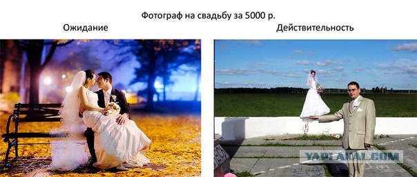Лучшие свадебные фотографии