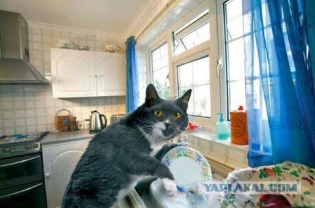 Тайский секс