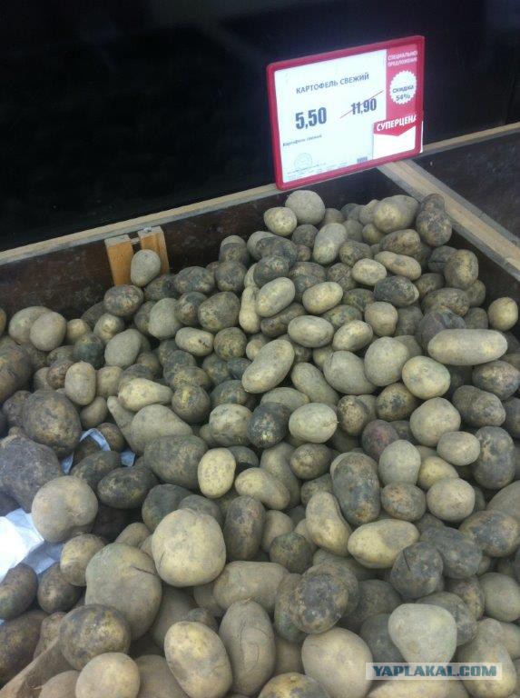 В Москве картошка по 5 руб./кг.