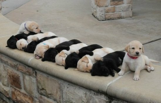 Подборка интересных и веселых картинок