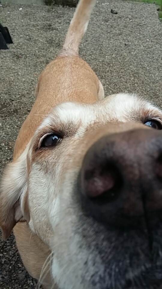 Интересные и веселые картинки