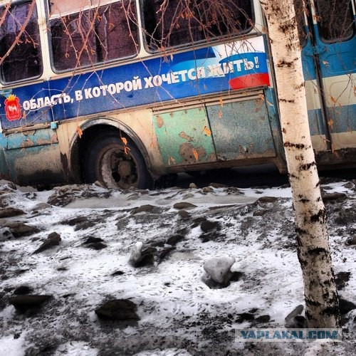 Область, в которой хочется жить