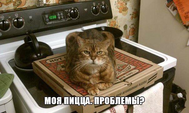 Обжоры