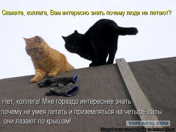 Техника безопасности на высоте