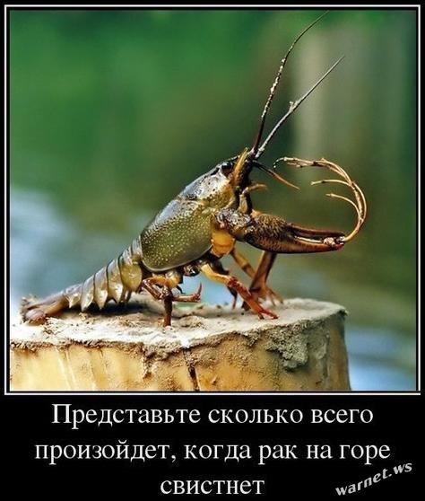 Сотрудница полиции лишилась квартиры и слишком дорогих джипов