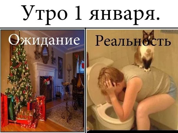 Выжившим в Новогоднюю ночь посвящается…