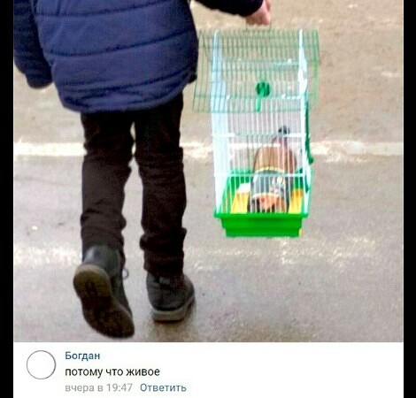Тотальная анозогнозия