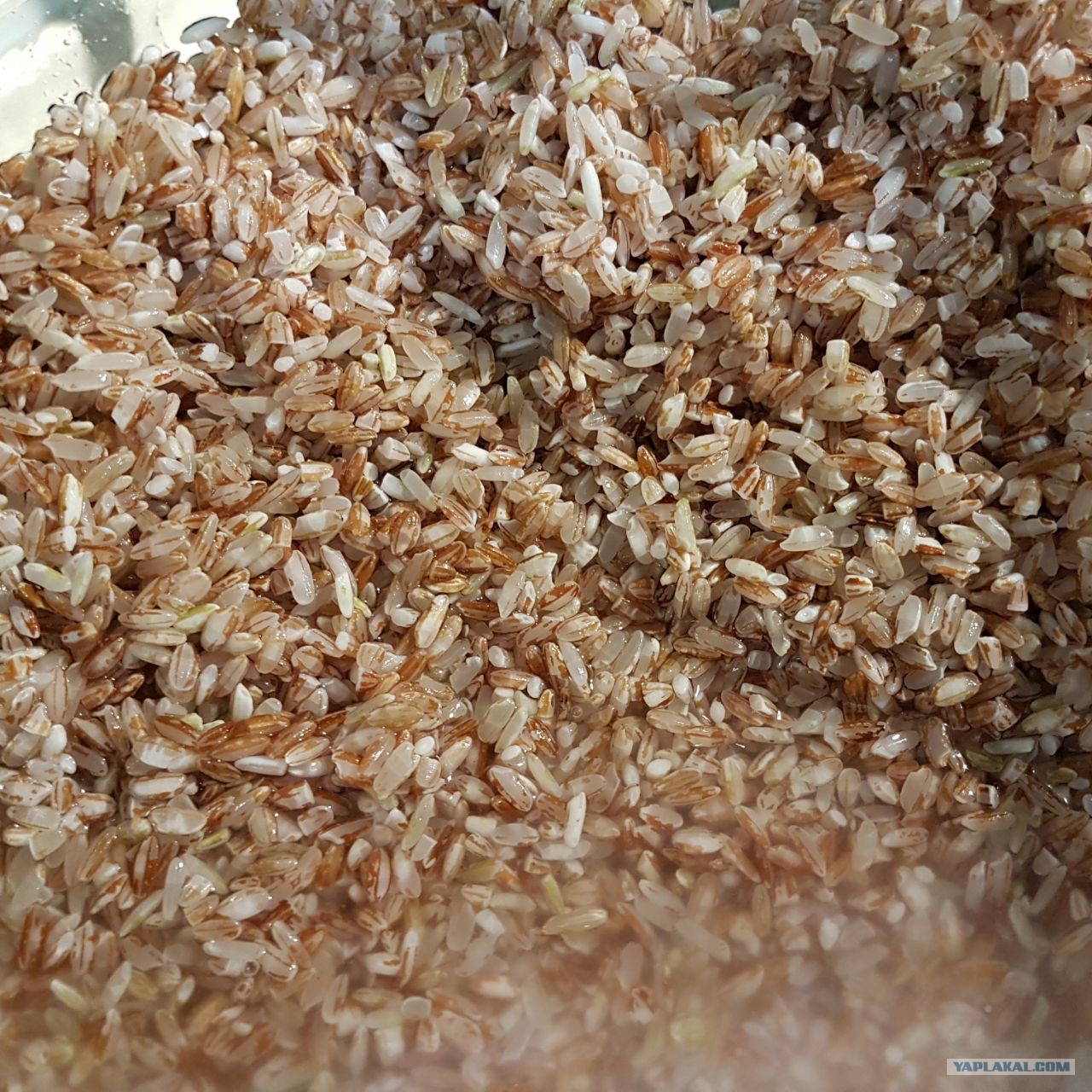 Купить Мешок Сечка Рис