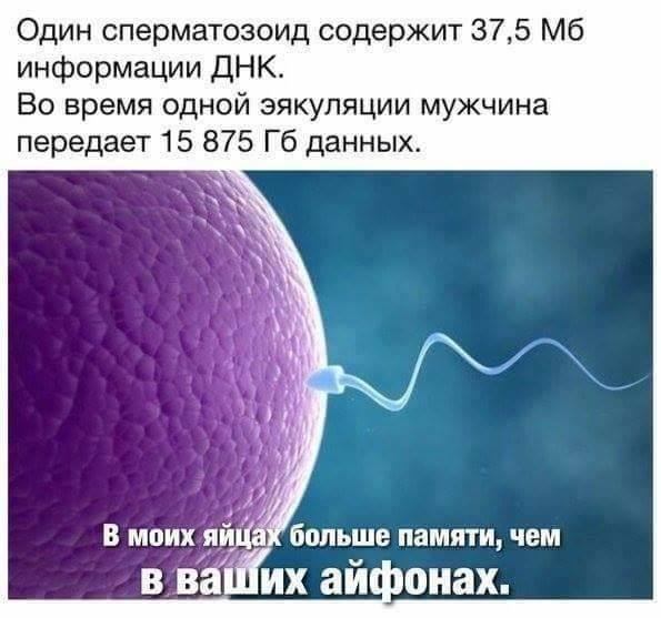 В работе сделай перерыв, пост с картинками открыв