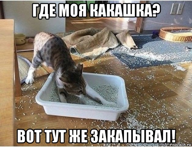Картинок всяких разных