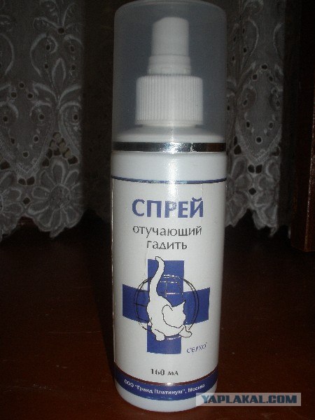 УРРААА ! Котовторник на ЯПлакалъ !