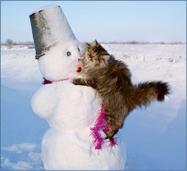 Любовь зла и... холодна