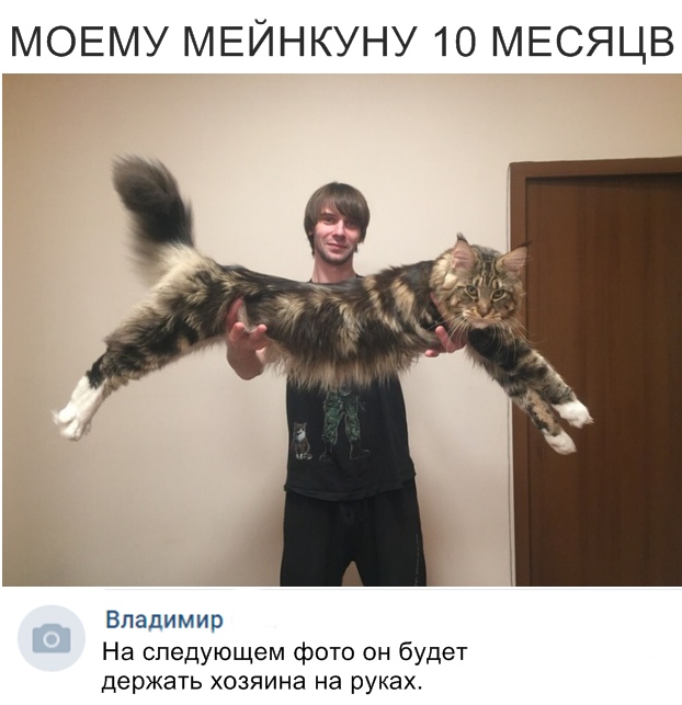 Нестандартный юмор