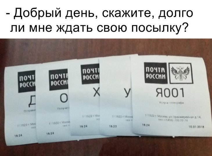 12457216.jpg