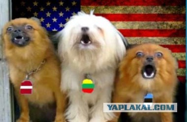 В Хабаровске ФСБ предотвратила школьный «Колумбайн»