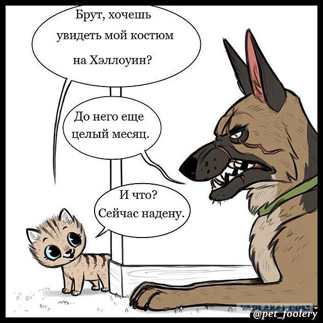 Бруд и Пикси