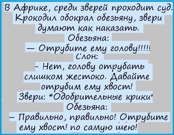 Анекдоты, соц-сети, истории и картинки с надписями