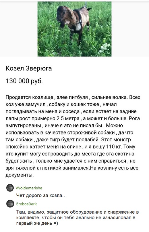 Прикольные комментарии и высказывания из Сети