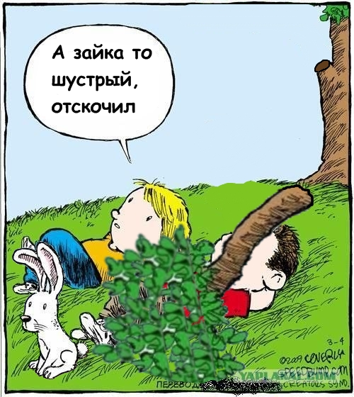 Смотрим на облака вместе