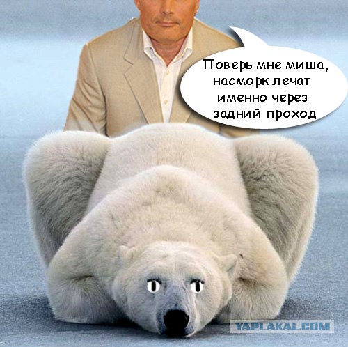 Битва фотожаберов (Команда №3), Геннадий Малахов