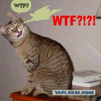 Фотожаба: WTF?