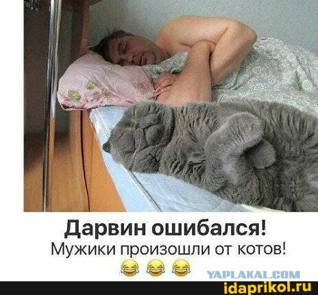 Бредзона 06.11.2020