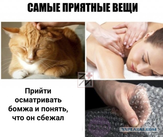Бредзона 16.12.2020