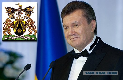 Последний хит Януковича